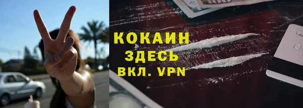 a pvp Магас