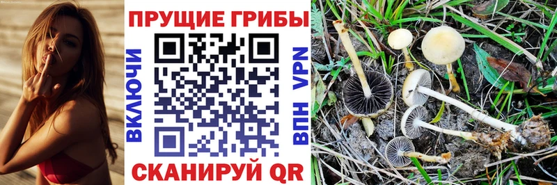 купить  сайты  Юрюзань  Псилоцибиновые грибы MAGIC MUSHROOMS 